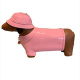 Dachshund Dog Raincoat Handbag