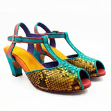 Colorful shoe with snake skin pattern pair side