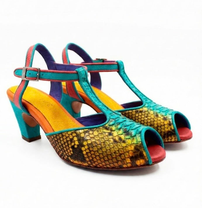 Colorful shoe with snake skin pattern pair side