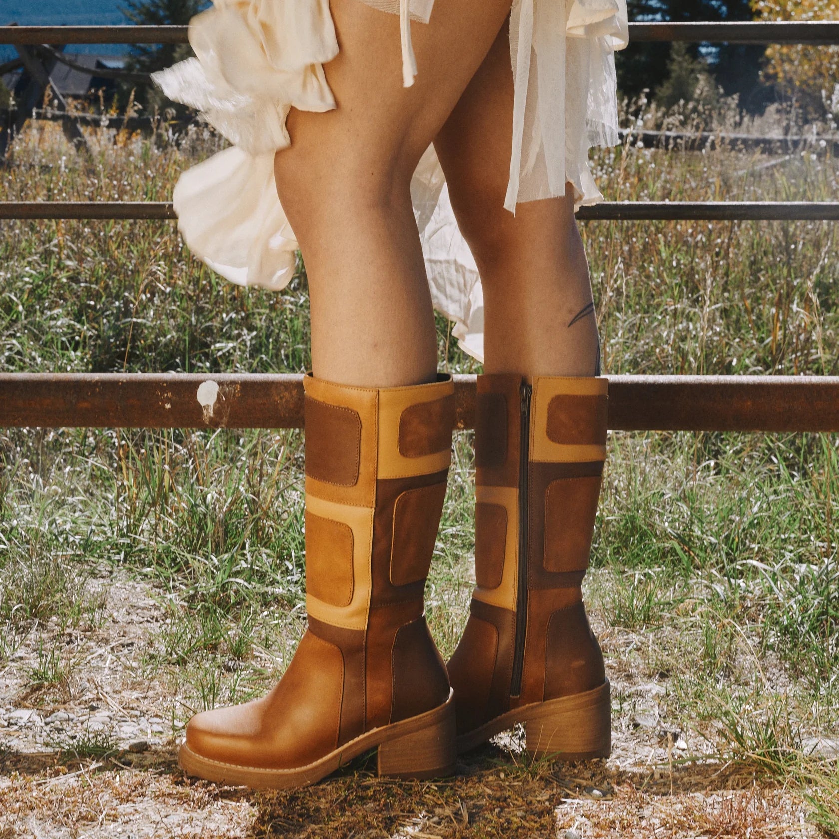 Slide image