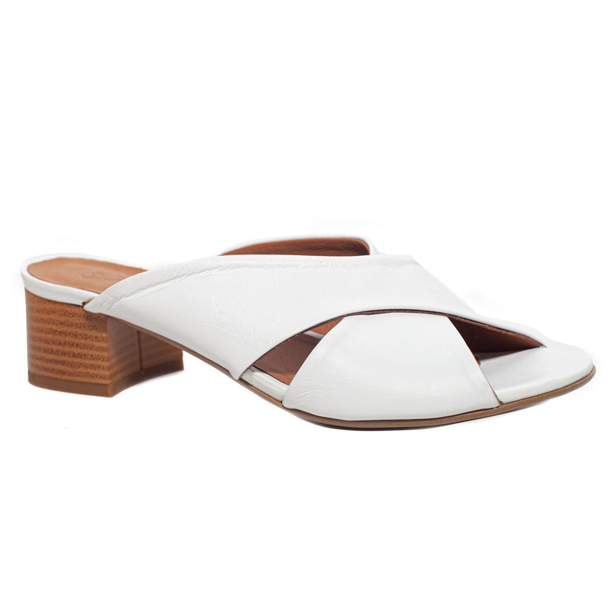 Unity in Diversity Erica Mule L100